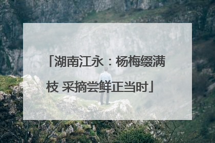 湖南江永：杨梅缀满枝 采摘尝鲜正当时
