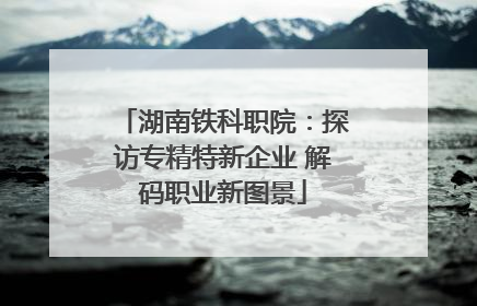 湖南铁科职院：探访专精特新企业 解码职业新图景