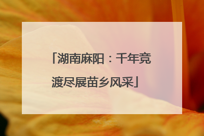 湖南麻阳：千年竞渡尽展苗乡风采