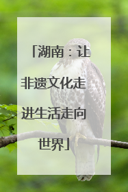 湖南：让非遗文化走进生活走向世界