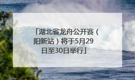 湖北省龙舟公开赛（阳新站）将于5月29日至30日举行