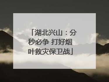 湖北兴山：分秒必争 打好烟叶救灾保卫战