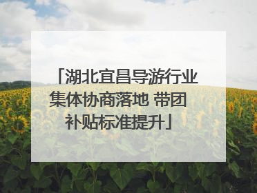 湖北宜昌导游行业集体协商落地 带团补贴标准提升