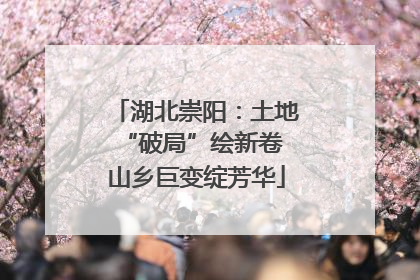 湖北崇阳：土地“破局”绘新卷 山乡巨变绽芳华