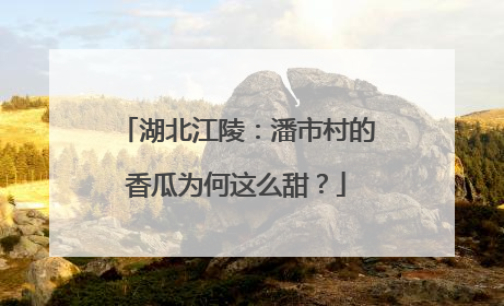 湖北江陵：潘市村的香瓜为何这么甜？