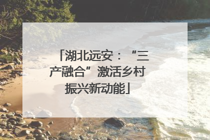湖北远安：“三产融合”激活乡村振兴新动能