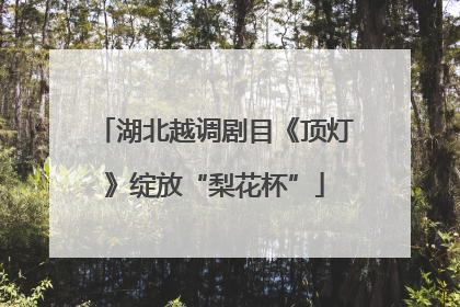 湖北越调剧目《顶灯》绽放“梨花杯”