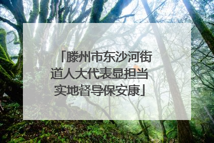 滕州市东沙河街道人大代表显担当实地督导保安康