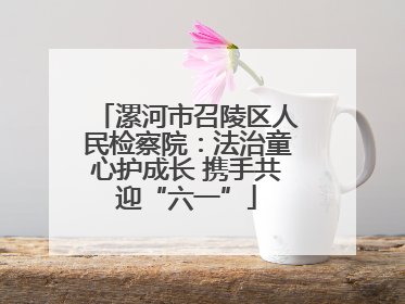 漯河市召陵区人民检察院：法治童心护成长 携手共迎“六一”