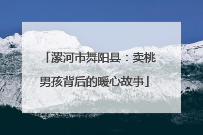 漯河市舞阳县：卖桃男孩背后的暖心故事