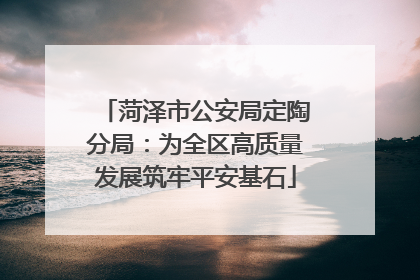 菏泽市公安局定陶分局：为全区高质量发展筑牢平安基石