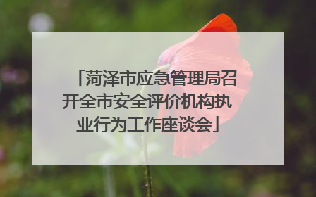 菏泽市应急管理局召开全市安全评价机构执业行为工作座谈会
