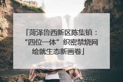 菏泽鲁西新区陈集镇：“四位一体”织密禁烧网 绘就生态新画卷