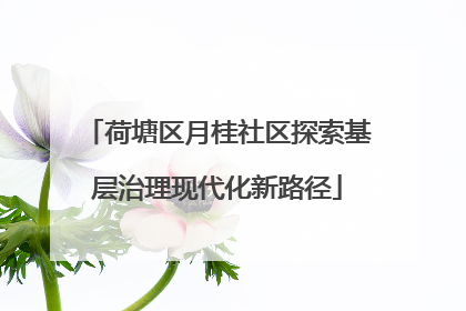 荷塘区月桂社区探索基层治理现代化新路径