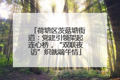 荷塘区茨菇塘街道：党建引领架起连心桥，“双联夜访”织就端午情