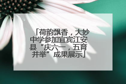 荷韵飘香，大妙中学参加宜宾江安县“庆六一，五育并举”成果展示