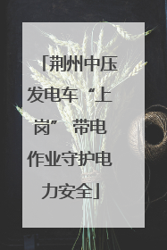 荆州中压发电车“上岗” 带电作业守护电力安全