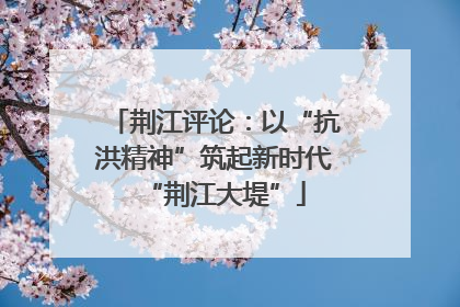 荆江评论：以“抗洪精神”筑起新时代“荆江大堤”