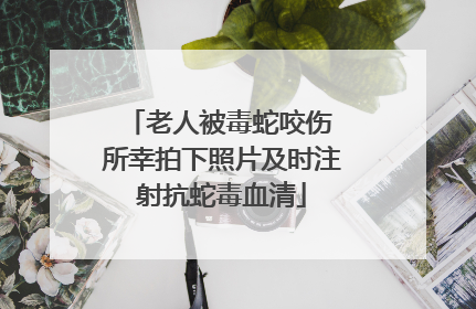 老人被毒蛇咬伤 所幸拍下照片及时注射抗蛇毒血清