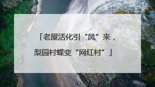 老屋活化引“凤”来，梨园村蝶变“网红村”