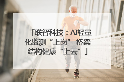 联智科技：AI轻量化监测“上岗” 桥梁结构健康“上云”