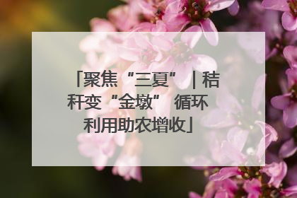 聚焦“三夏”｜秸秆变“金墩” 循环利用助农增收