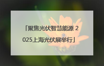 聚焦光伏智慧能源 2025上海光伏展举行