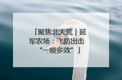聚焦北大荒｜延军农场：飞防出击 “一喷多效”