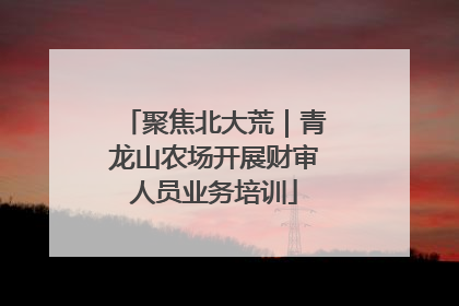 聚焦北大荒｜青龙山农场开展财审人员业务培训