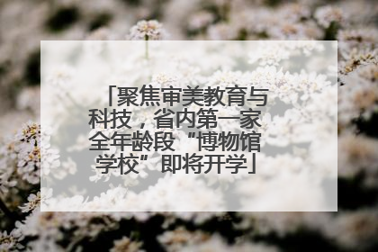聚焦审美教育与科技，省内第一家全年龄段“博物馆学校”即将开学