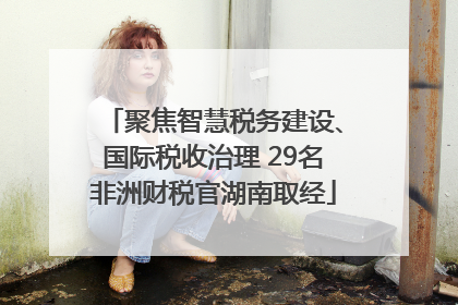 聚焦智慧税务建设、国际税收治理 29名非洲财税官湖南取经