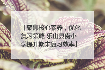 聚焦核心素养，优化复习策略 乐山县街小学提升期末复习效率