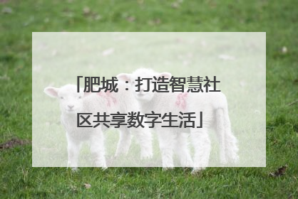 肥城：打造智慧社区共享数字生活