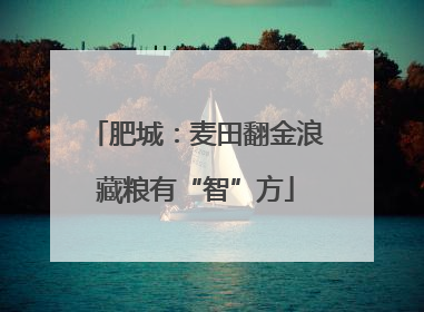 肥城：麦田翻金浪藏粮有“智”方