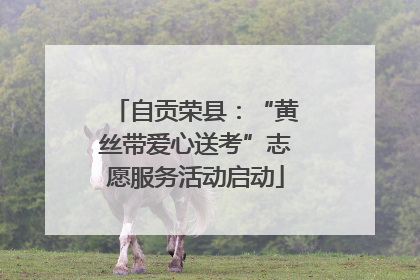 自贡荣县：“黄丝带爱心送考”志愿服务活动启动