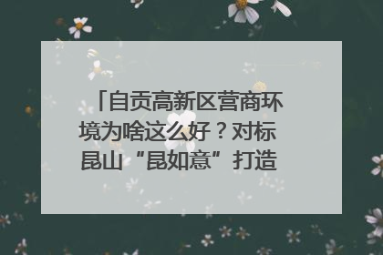 自贡高新区营商环境为啥这么好？对标昆山“昆如意”打造自贡“高兴办”｜美好生活有“盐”味
