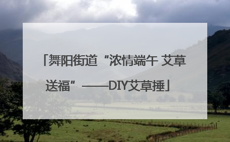 舞阳街道“浓情端午 艾草送福”——DIY艾草捶