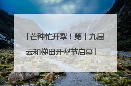 芒种忙开犁！第十九届云和梯田开犁节启幕