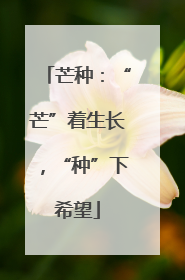 芒种：“芒”着生长，“种”下希望