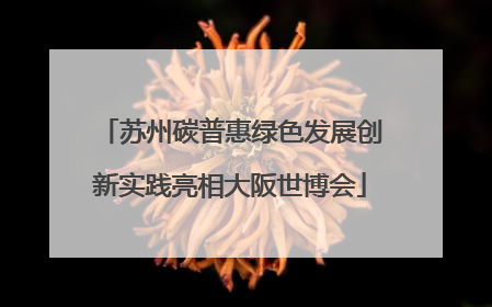 苏州碳普惠绿色发展创新实践亮相大阪世博会