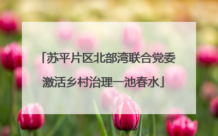 苏平片区北部湾联合党委 激活乡村治理一池春水
