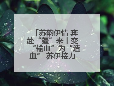 苏韵伊情 奔赴“疆”来丨变“输血”为“造血” 苏伊接力守护“心”生