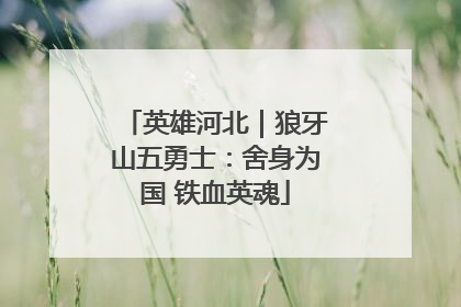 英雄河北｜狼牙山五勇士：舍身为国 铁血英魂