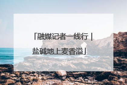 融媒记者一线行｜盐碱地上麦香溢