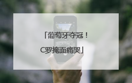 葡萄牙夺冠！C罗掩面痛哭