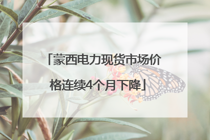 蒙西电力现货市场价格连续4个月下降