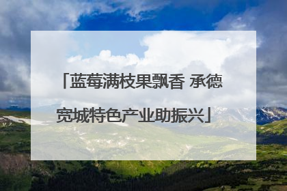 蓝莓满枝果飘香 承德宽城特色产业助振兴