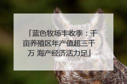 蓝色牧场丰收季：千亩养殖区年产值超三千万 海产经济活力足