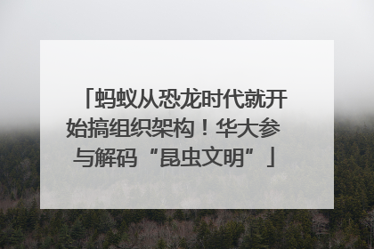 蚂蚁从恐龙时代就开始搞组织架构！华大参与解码“昆虫文明”