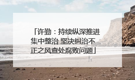 许勤：持续纵深推进集中整治 坚决纠治不正之风查处腐败问题